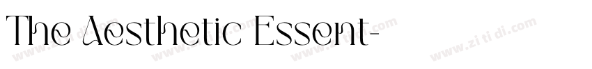 The Aesthetic Essent字体转换